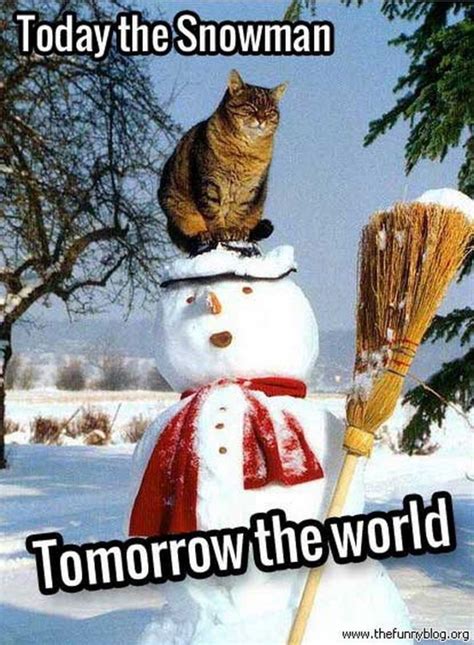 snowman memes|funny snowstorm memes.